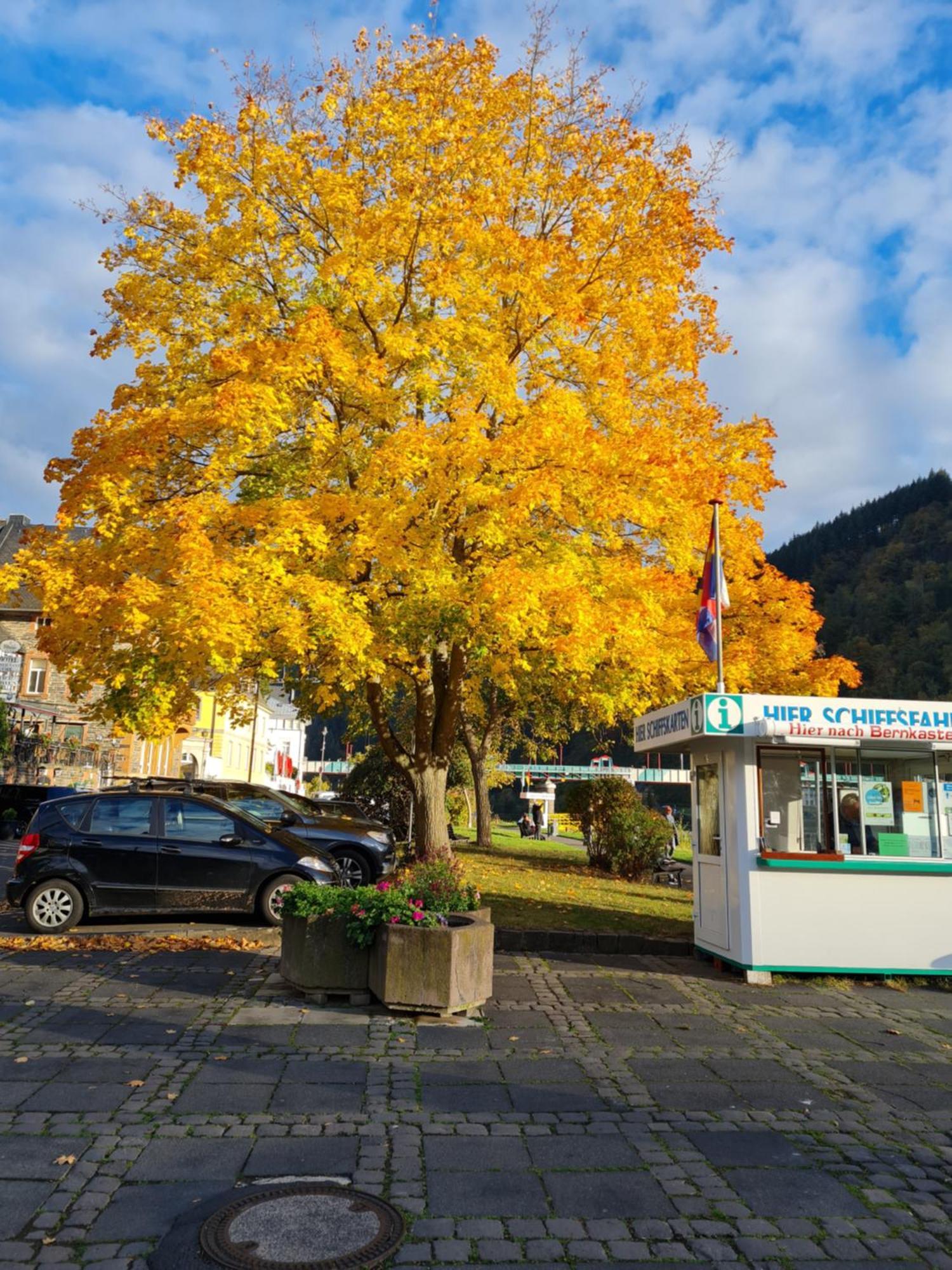 Ferienhaus Take It Easy Villa Traben-Trarbach Esterno foto